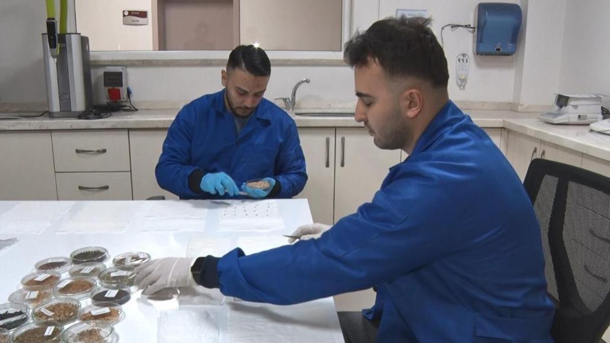 İran gerilimi sonrası gözler gıda güvenliğine çevrildi! Türkiye gen bankalarıyla hazırlıklı
