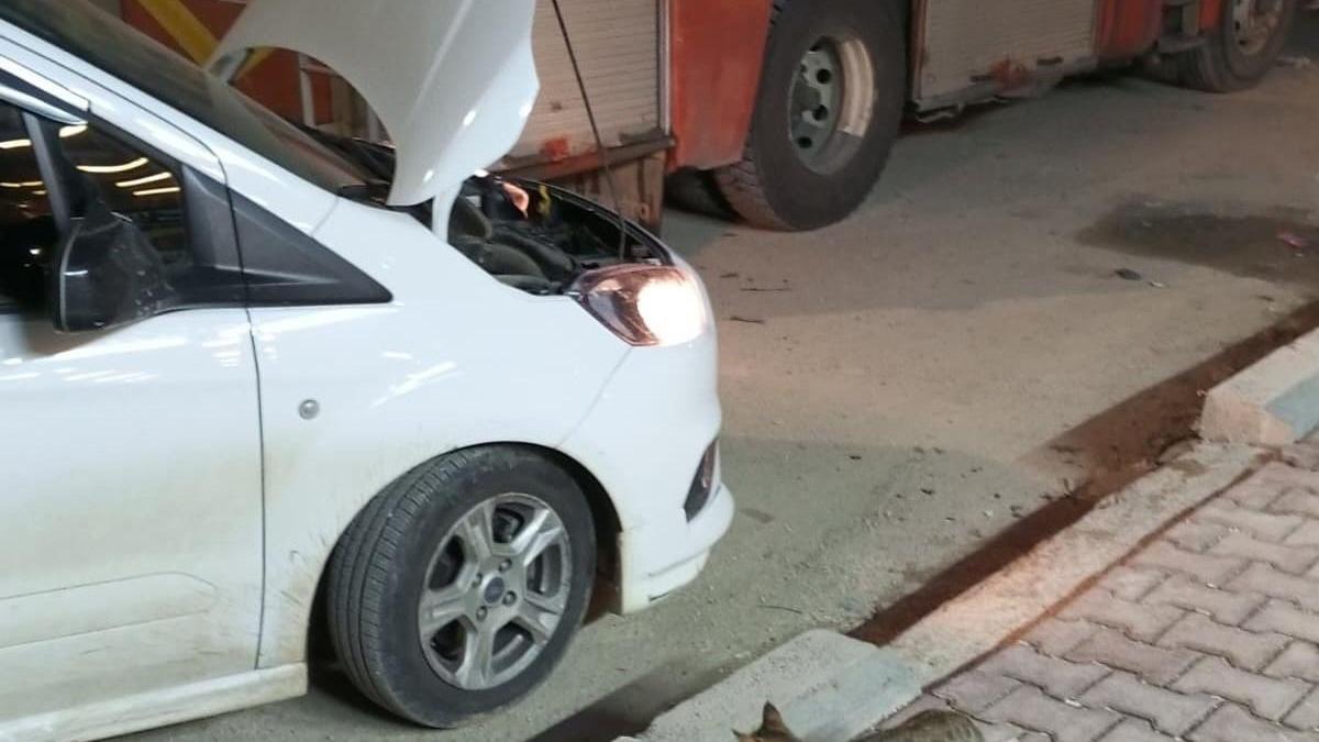 Mardin’de hafif ticari aracın motor bölümünde doğan 4 yavru kedi, kurtarıldı