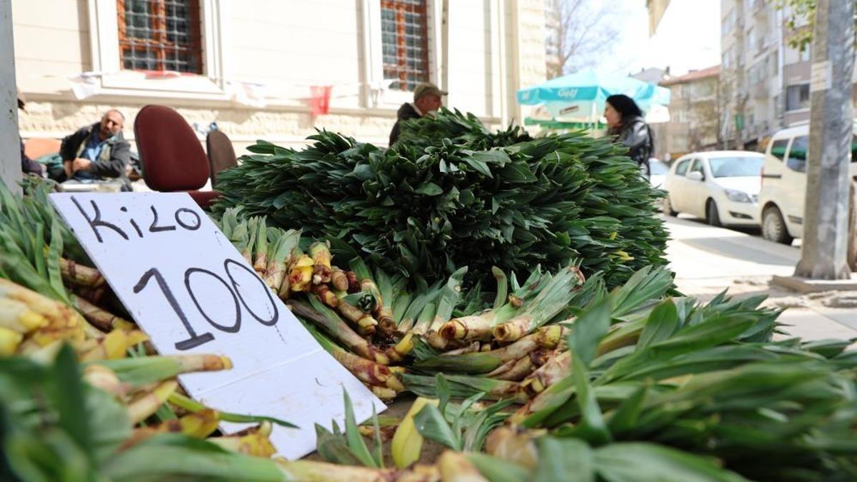Doğada kendiliğinden yetişiyor, doğal bir antibiyotik! Fiyatı 75 liradan 100 liraya çıktı