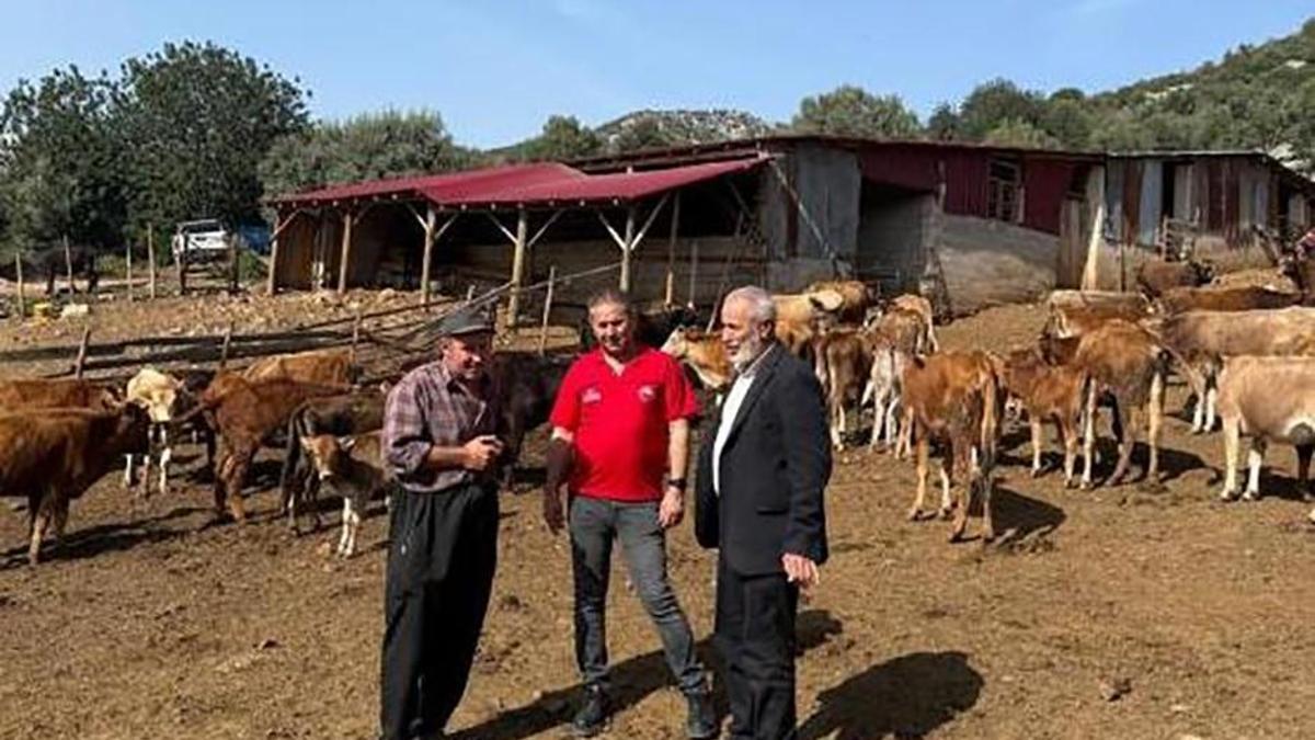 Adana'da "Güney Sarısı" bereketi! Üreticinin yüzünü güldürüyor