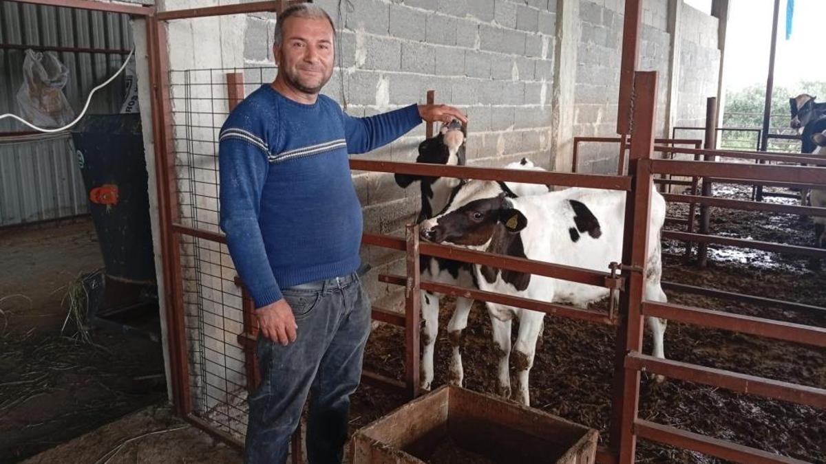 Adanalı üreticiden ilginç yöntem! Yüksek süt verimi için bu yola başvuruyor