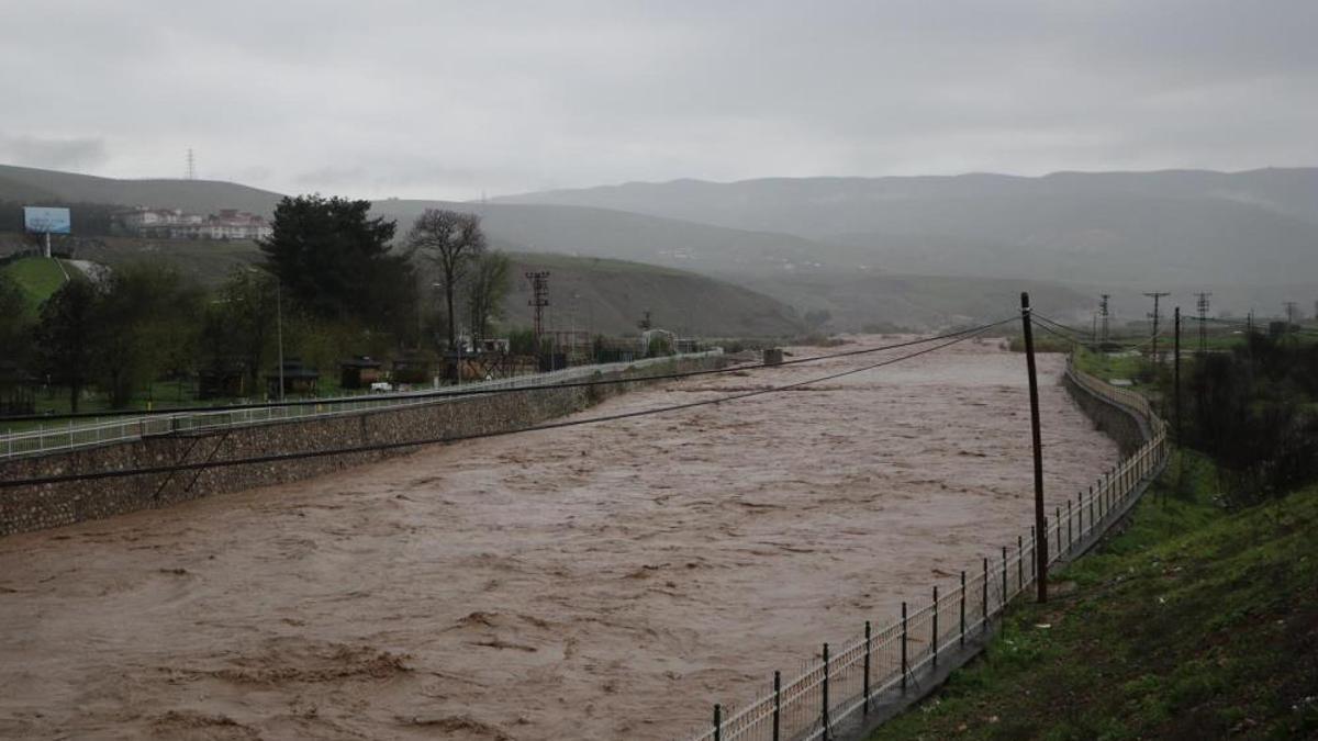 Siirt'te sel bilançosu! Toprak kayması yaşandı, 400 e yakın hayvan telef oldu