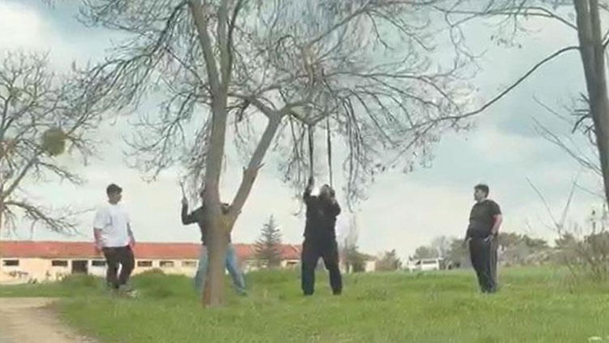 ‘Mangal için ağaç dalını kırmaya çalıştılar' Tepki çeken görüntüler