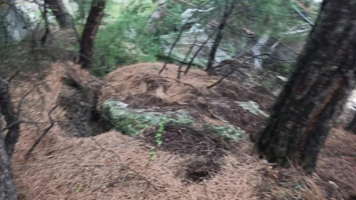 Reşadiye'de heyelan ve kaya düşmesi nedeniyle 13 daire tahliye edildi