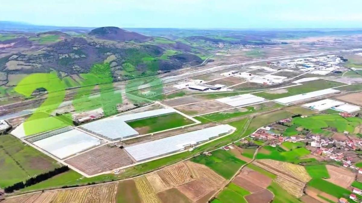 Modern tarımın yeni adresi Samsun'un bu ilçesi oldu! Karadeniz'de başarı hikayesi yazılıyor