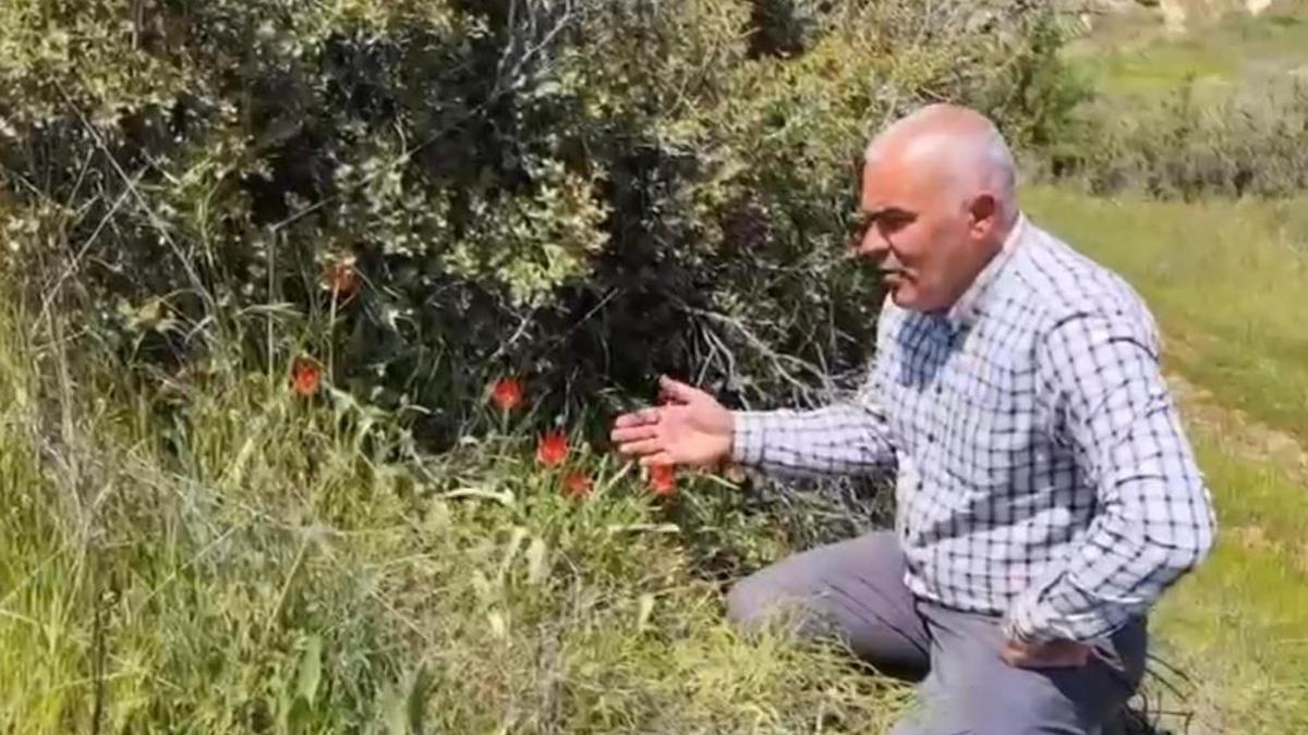 Denizli'de endemik türlerden birine rastlandı