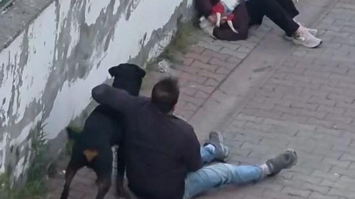 Ümraniye’de ağızlıksız gezdirilen rottweiler, küçük ırk köpeğe saldırdı