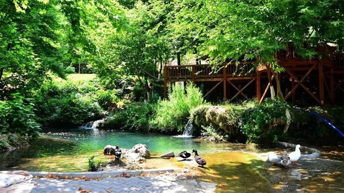 Adana'da bu yazın rotası belli oldu: Yer köprü kapılarını açıyor! Modern kamp alanı, restoran ve mesire keyfi bir arada!