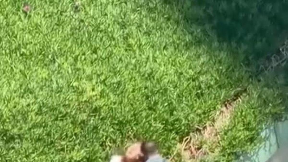 Maltepe’de tartıştığı kadını sokak ortasında yumruklayarak darbetti