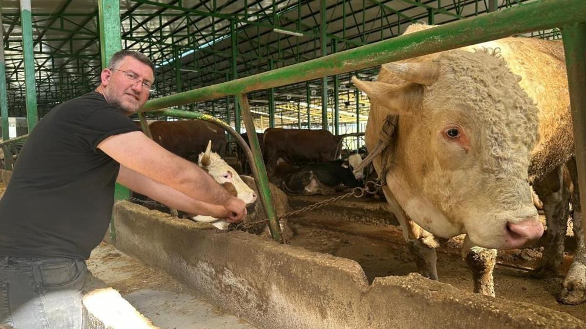 Bursa'da kurban hareketliliği! 1 tonluk boğayı 400 bin liraya sattı