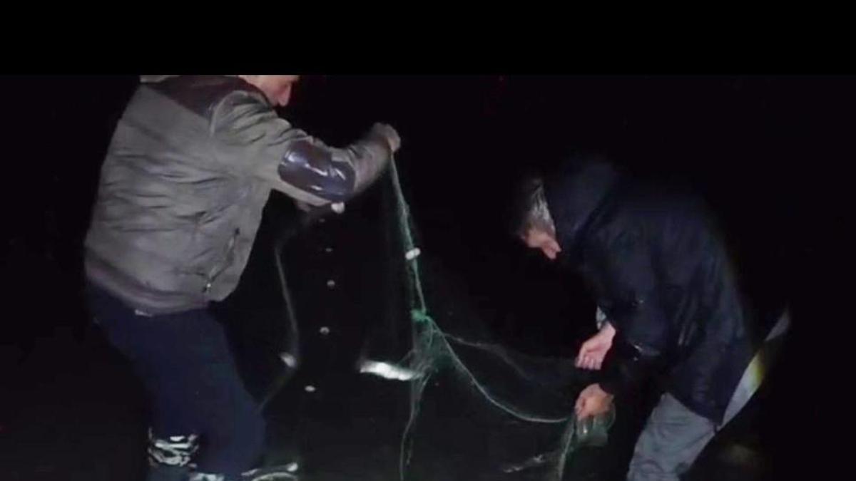Van'da kaçak avlanan 100 kilo canlı inci kefali tekrar suya bırakıldı