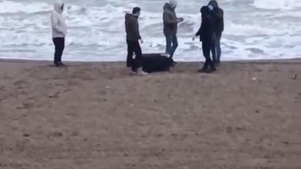 Sahile vuran çantadan 21,5 kilo uyuşturucu çıktı