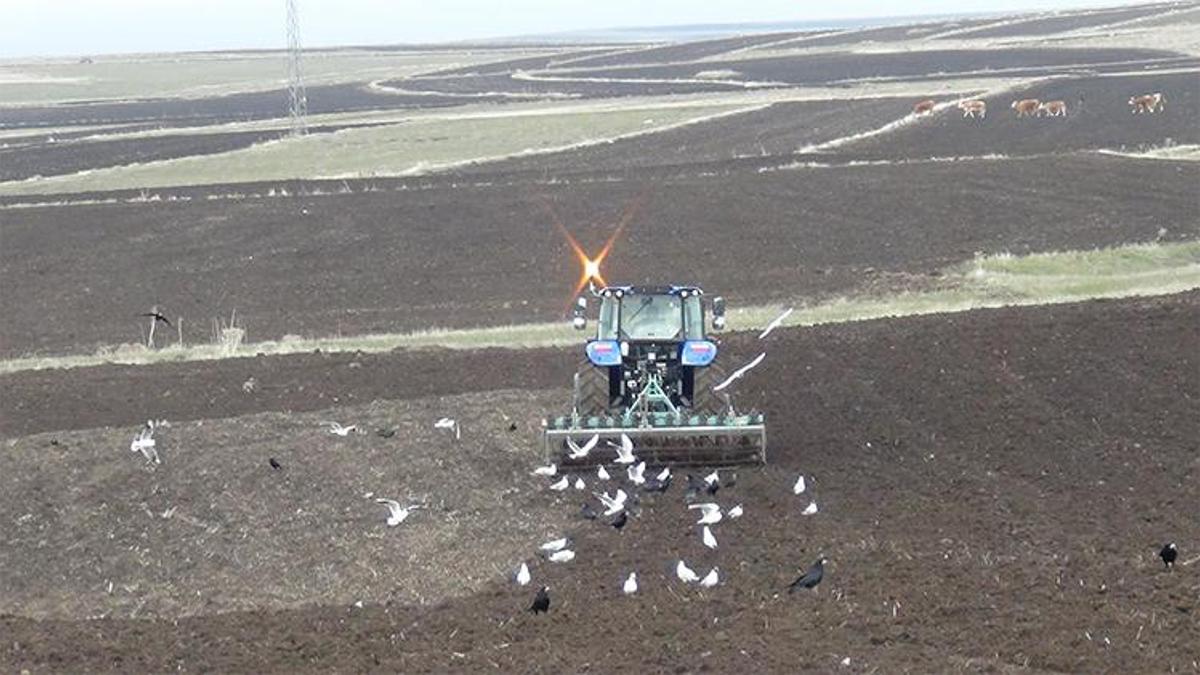 Kars’ta kış bitmedi, çiftçinin sabrı test ediliyor: Kar gitti, mesai başladı!