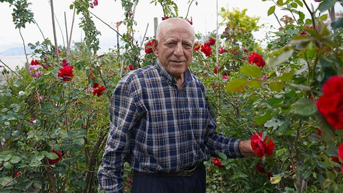 Güzellikleriyle büyülüyor! Fiyatları 150 liradan 750 liraya kadar çıkıyor