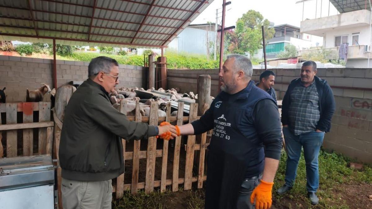 Bayram yaklaştı, pazarlıklar kızıştı! İşte kurban alacaklara tavsiyeler ve kurban fiyatları