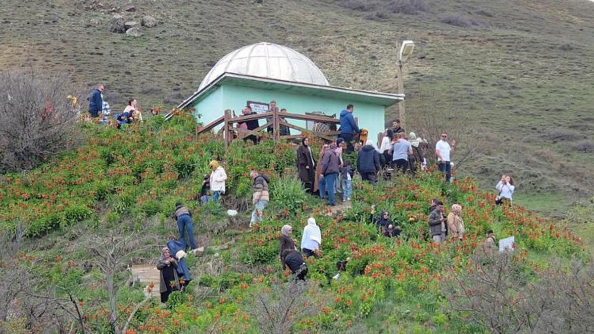 Yılda sadece 15 gün açıyorlar! Bölge halkı akın akın görmeye geliyor