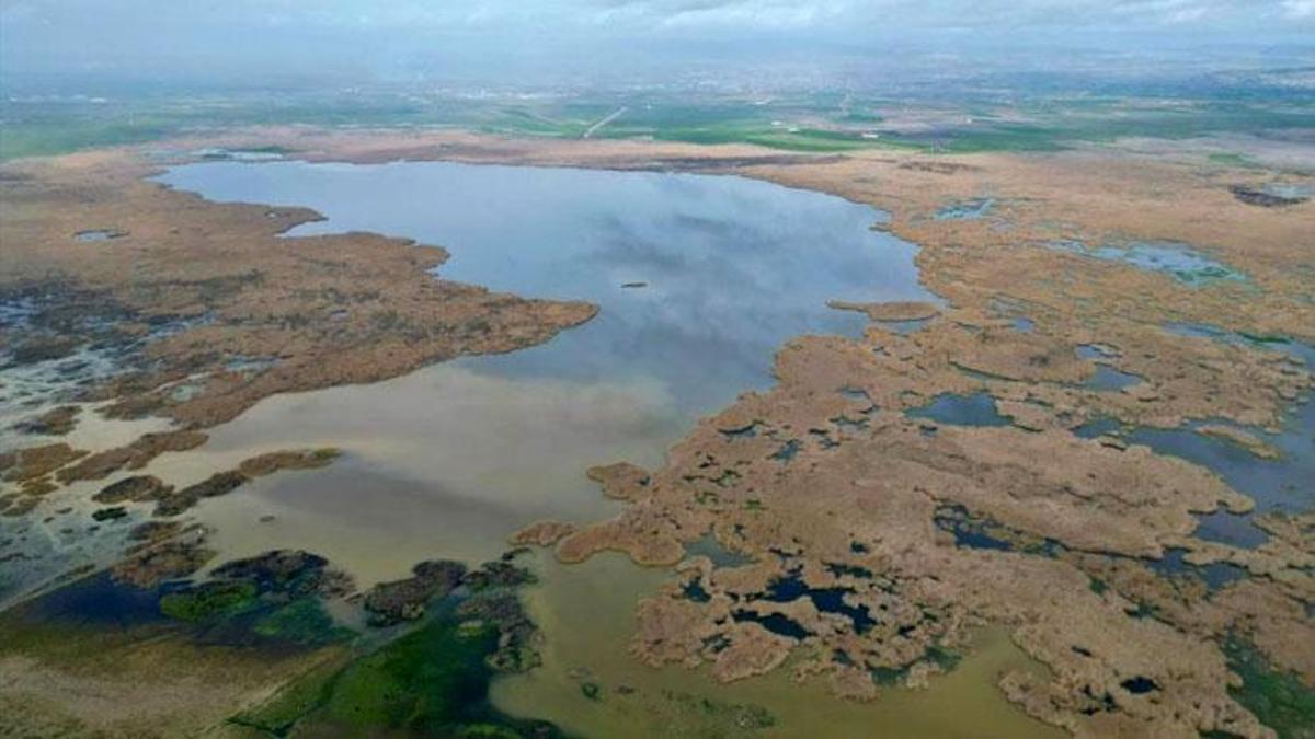 Eber Gölü'nden 22 milyon ton su çekildiği iddiasına açıklama geldi