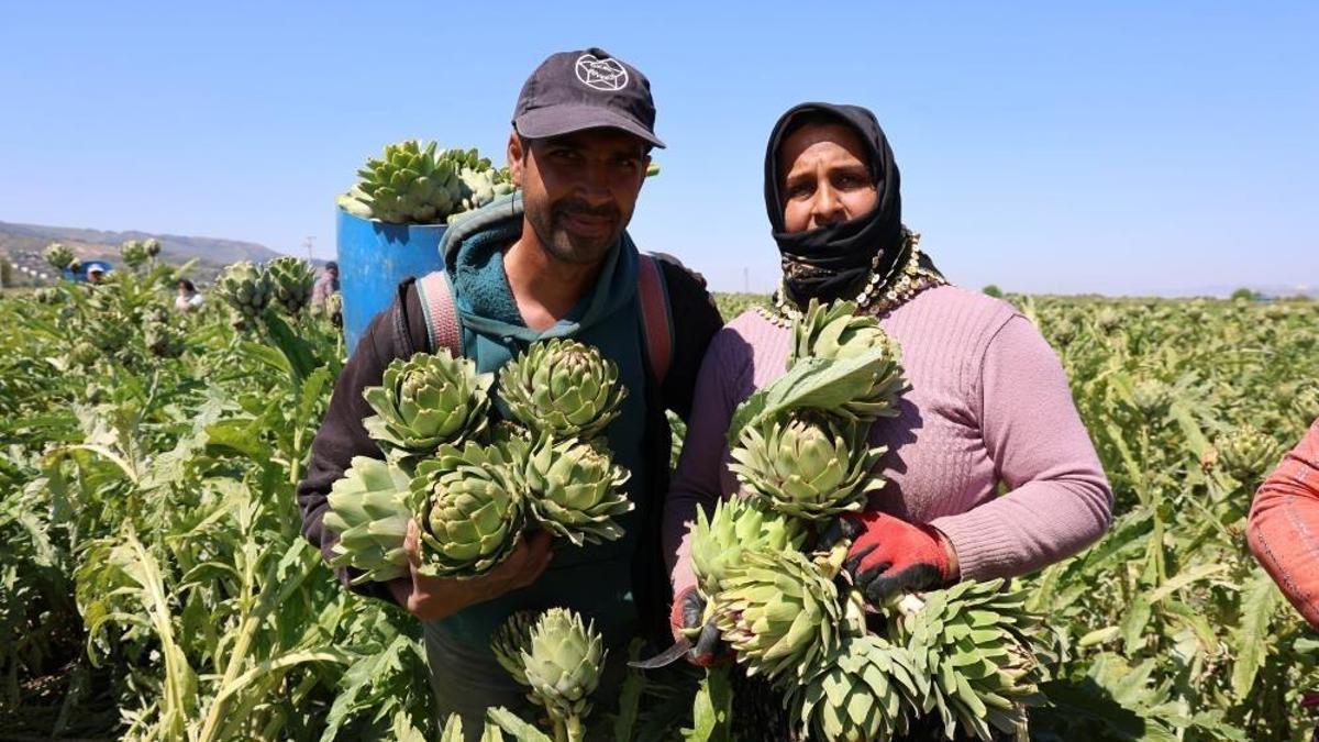Aydın'da mahallede üretilip dünyaya satılıyor: Öğleden sonra değeri kat kat artıyor