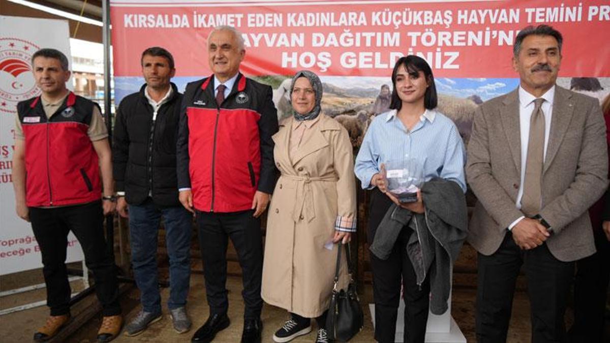 Kadın üreticilere 3 bin küçükbaş hayvan desteği! Proje kapsamında dağıtımlar başladı