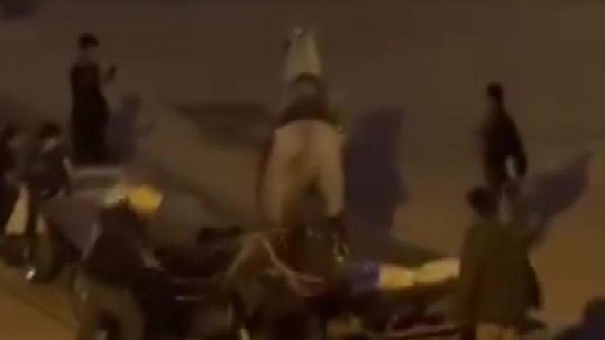 Adana'da atlara işkence kamerada!