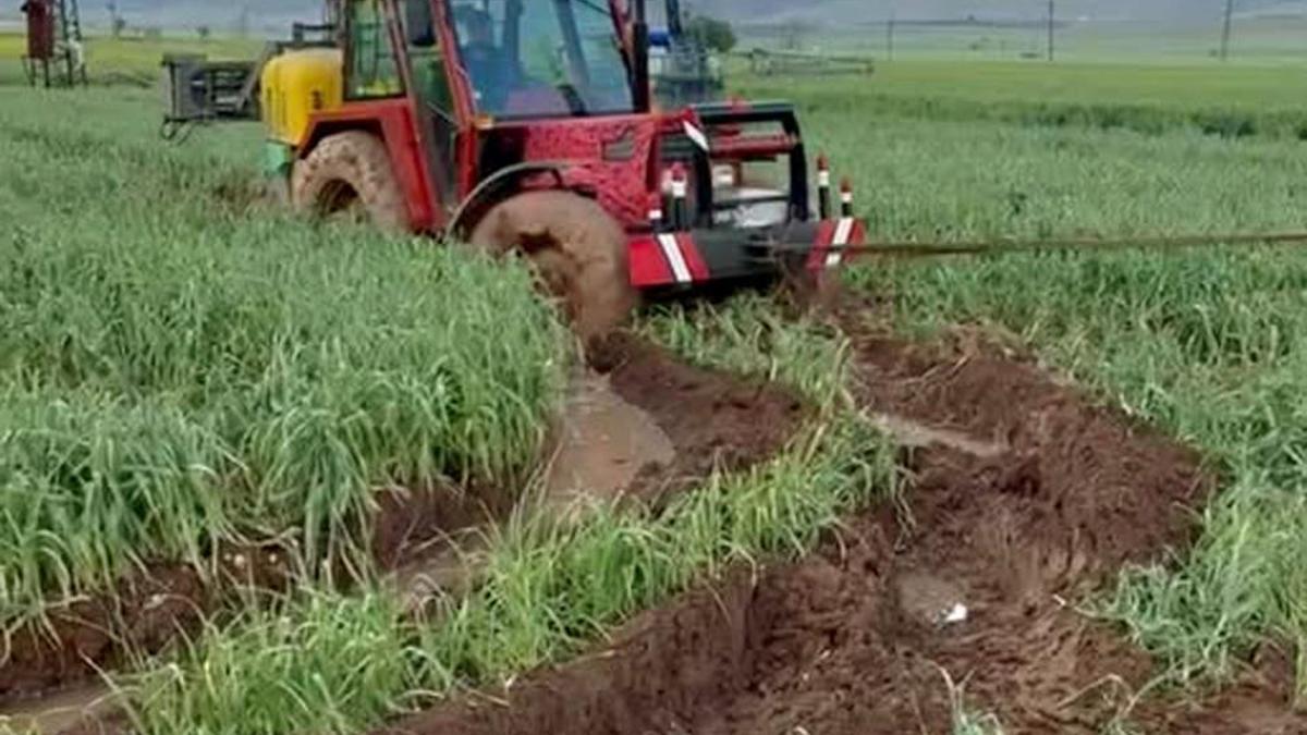 Gaziantep'te etkili olan yağışlar hasadı geciktirdi! Sofralara geç düşecek