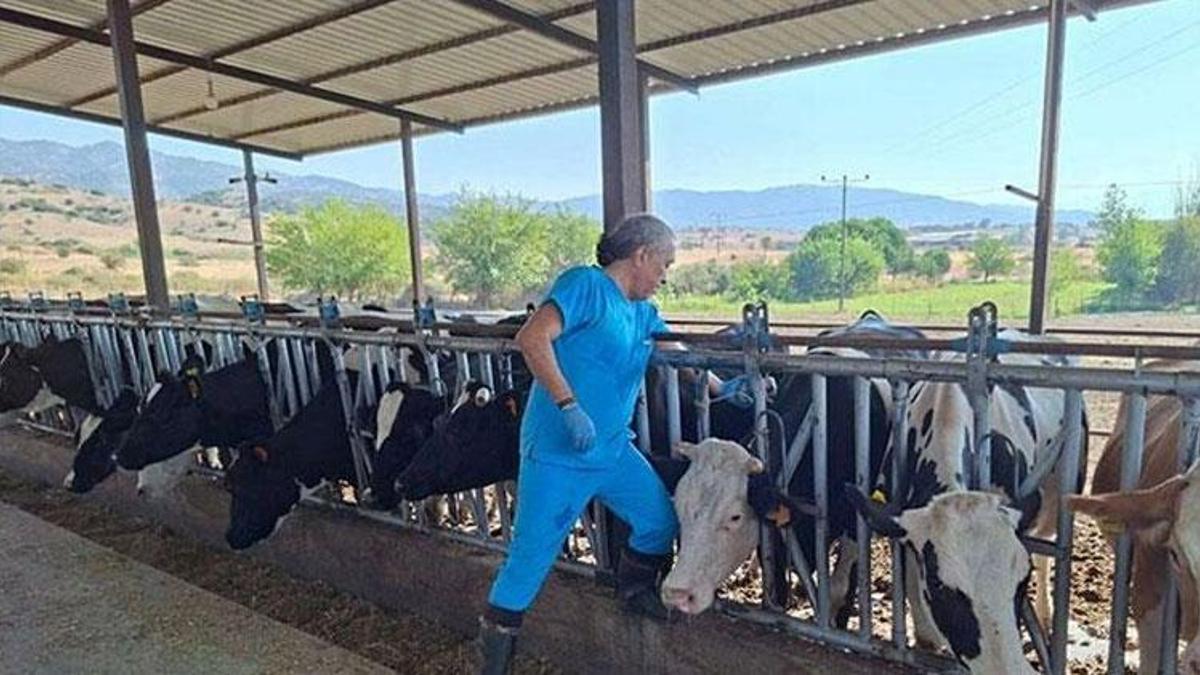Aydın’da şap hastalığı alarmı: 17 mahallede karantina tedbirleri alındı