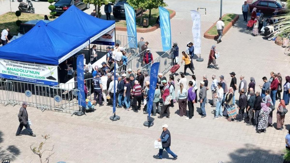 Aydın'da ata tohumu binlerce fide toprakla buluşmaya hazırlanıyor: Belediye harekete geçti, ücretsiz dağıtmaya başladı