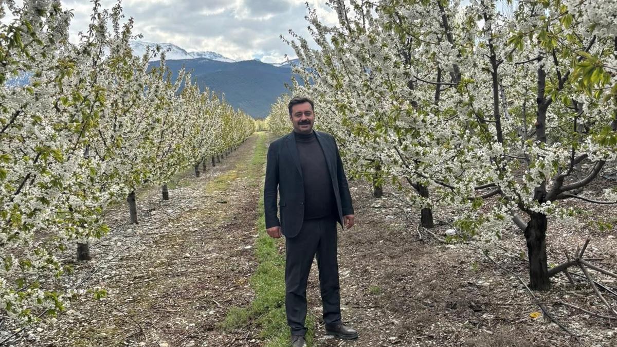 Zirai don endişesi yaşayan üreticiler rahat nefes aldı