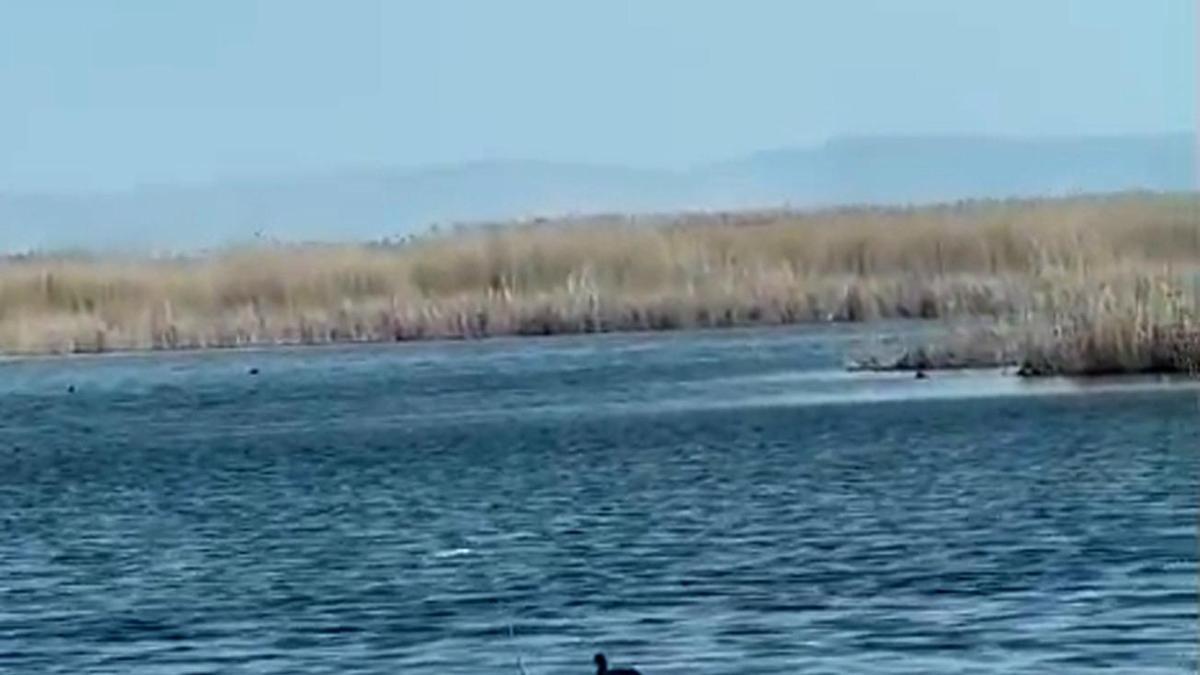 Eber Gölü'nde su seviyesi yükseldi