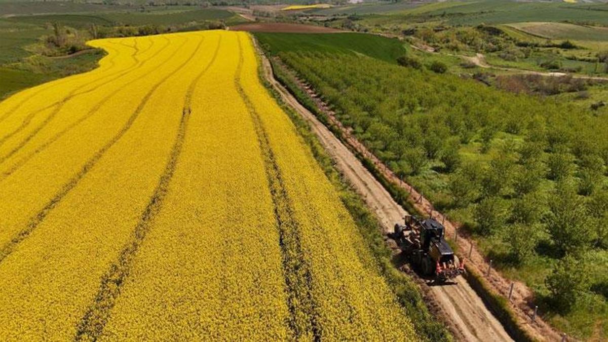 Hasat dönemi yaklaşıyor belediye üreticiler için harekete geçti