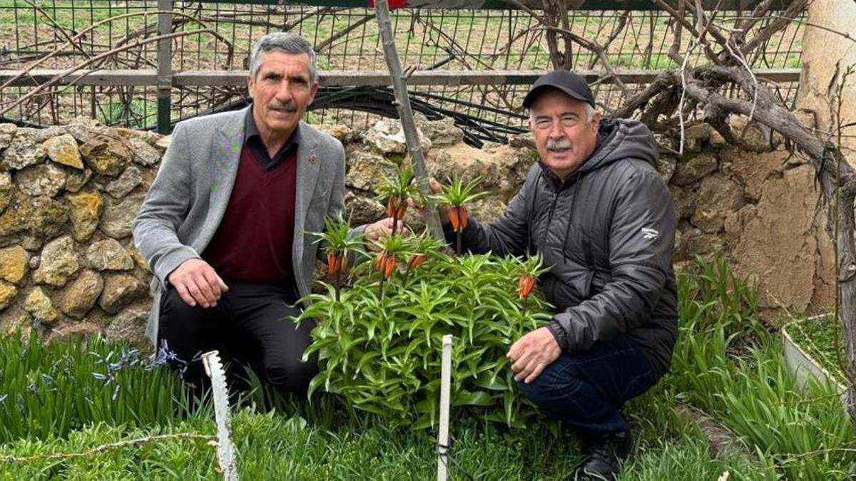 Eskişehir'de köy mezarlığında ortaya çıktı! Görenler inanamıyor, bunu yapan 700 bin TL hazırlasın