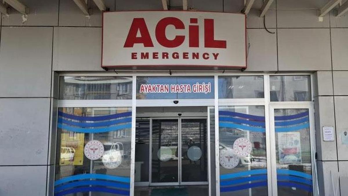 Gölbaşı'nda çağla yiyen 6 öğrenci hastanelik oldu