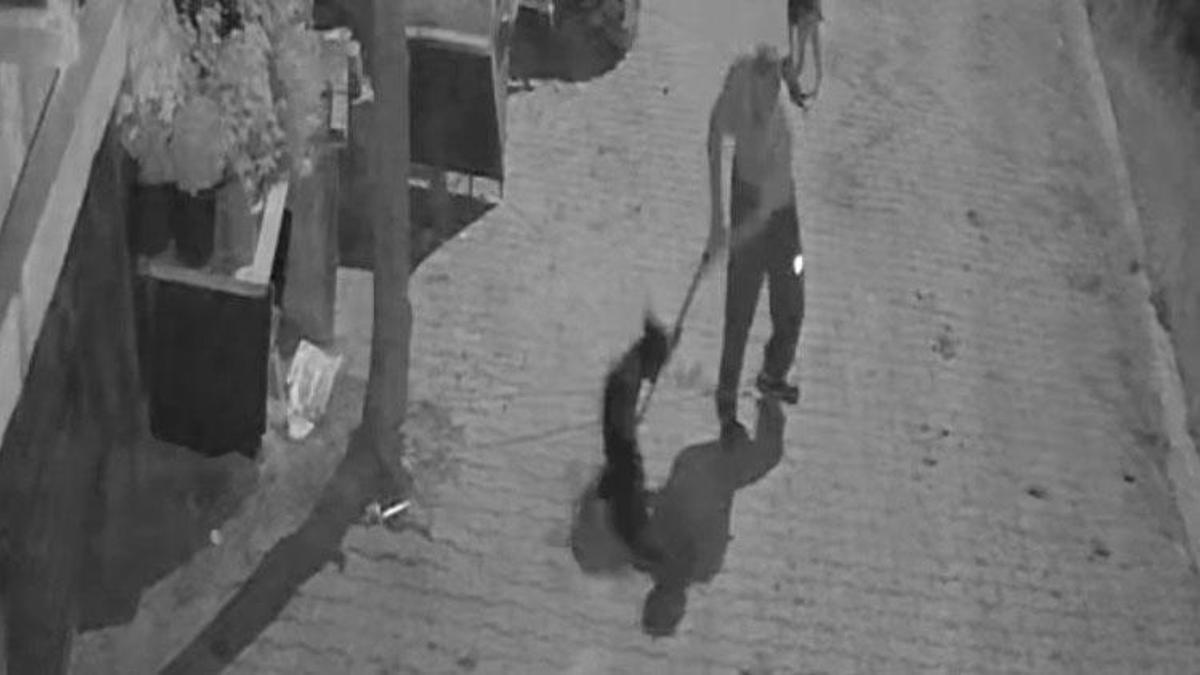 İzmit'te vahşet! Köpeği demir sopayla öldürdü; o anlar kamerada