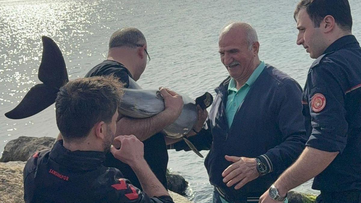 Samsun’da kayalıklara sıkışan yunusu polis kurtardı