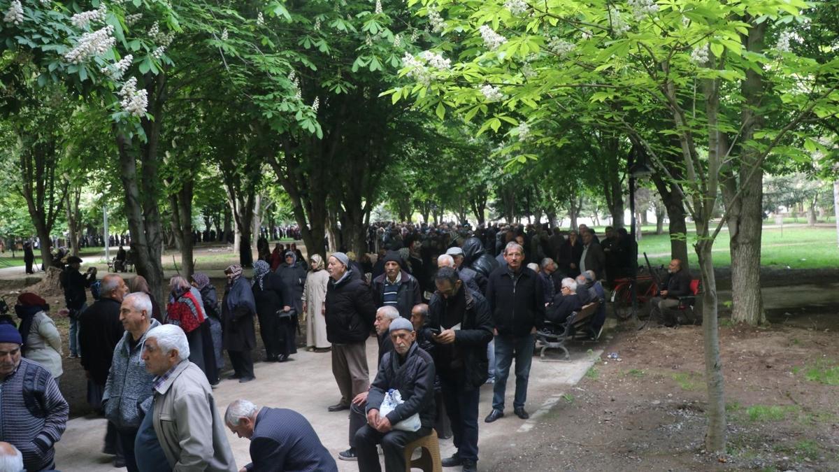 Kayseri’de 300 bin domates fidesi dağıtıldı; metrelerce kuyruk oluştu