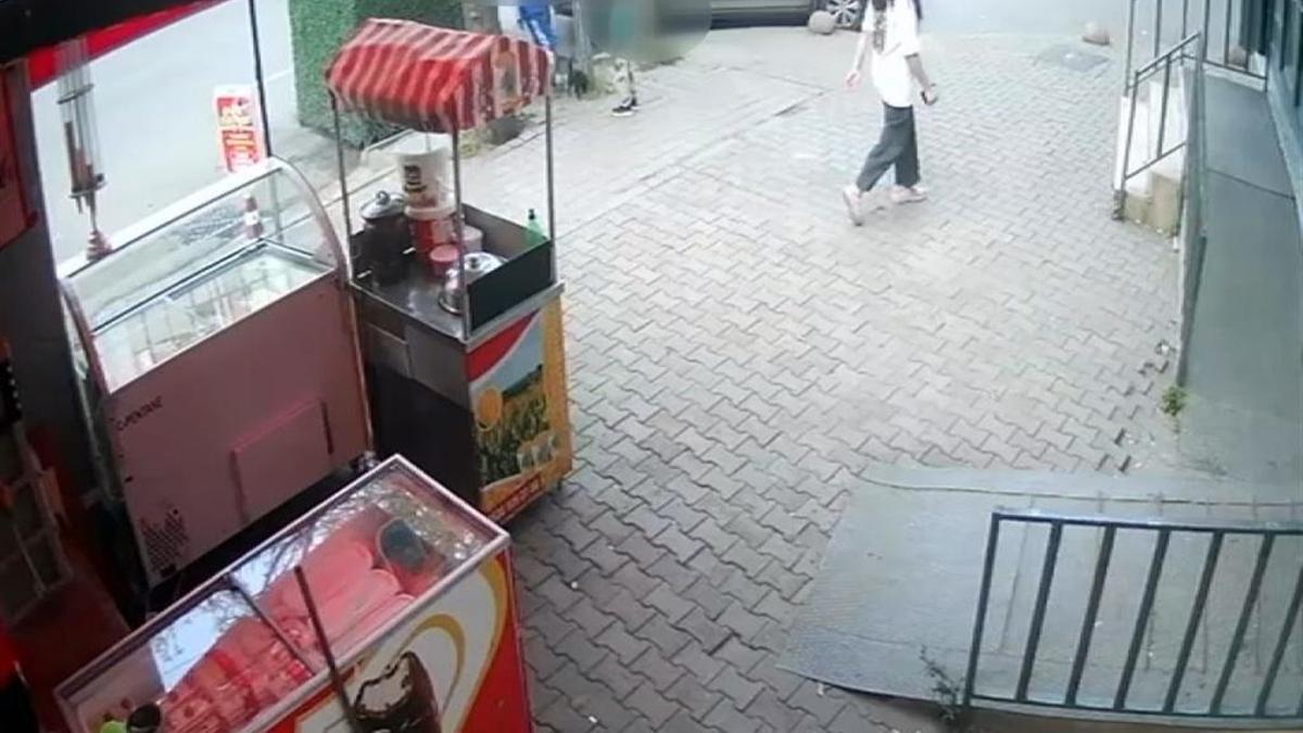 Esenler'de kediye bıçak çektiler, uyaran kadının üstüne yürüdüler!