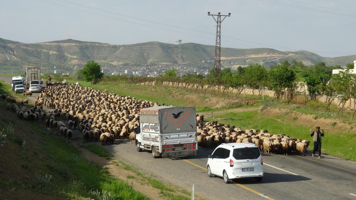 Gercüş’te, göçer ailelerin yayla yolculuğu başladı
