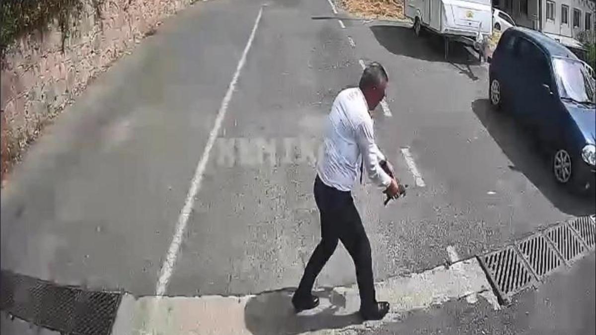 Otobüsü durdurup kaplumbağayı ezilmekten kurtardı