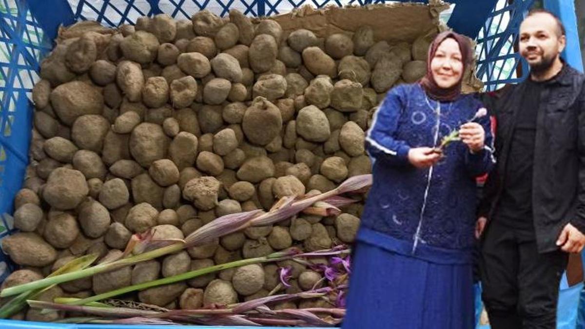 Doğa yürüyüşünde fark etti! İnternetten öğrenip üretime başladı: Şimdi herkes onu konuşuyor