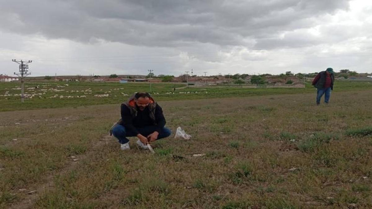 Sezonu ilk Konya'da açıldı: En pahalısı burada yer alıyor, her yıl alıcısı oluyor
