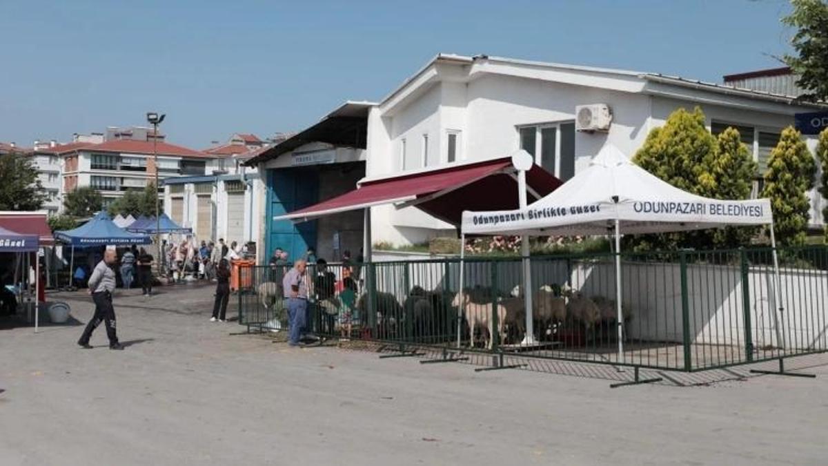Eskişehir'de ücretsiz kurban kesimi: Bir ilçede yapılacak