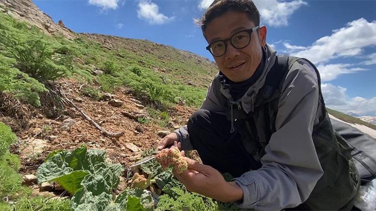 Japonya’dan kalkıp Hakkari’ye geldi, Yüksekova dağlarına çıktı! Tek bir amaç için kilometrelerce yol katetti