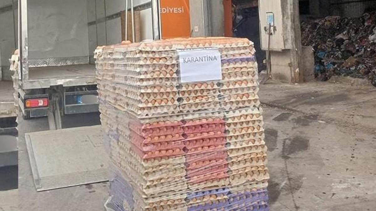 Sakarya’da 42 bin sahte organik etiketli yumurta imha edildi