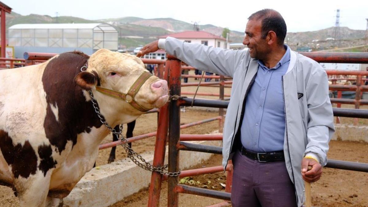 Kurban Bayramı hareketlilik! 15 bin liradan başlıyor