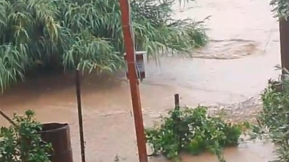 Adana'da dere taştı, sel bahçe kapılarını sürükledi