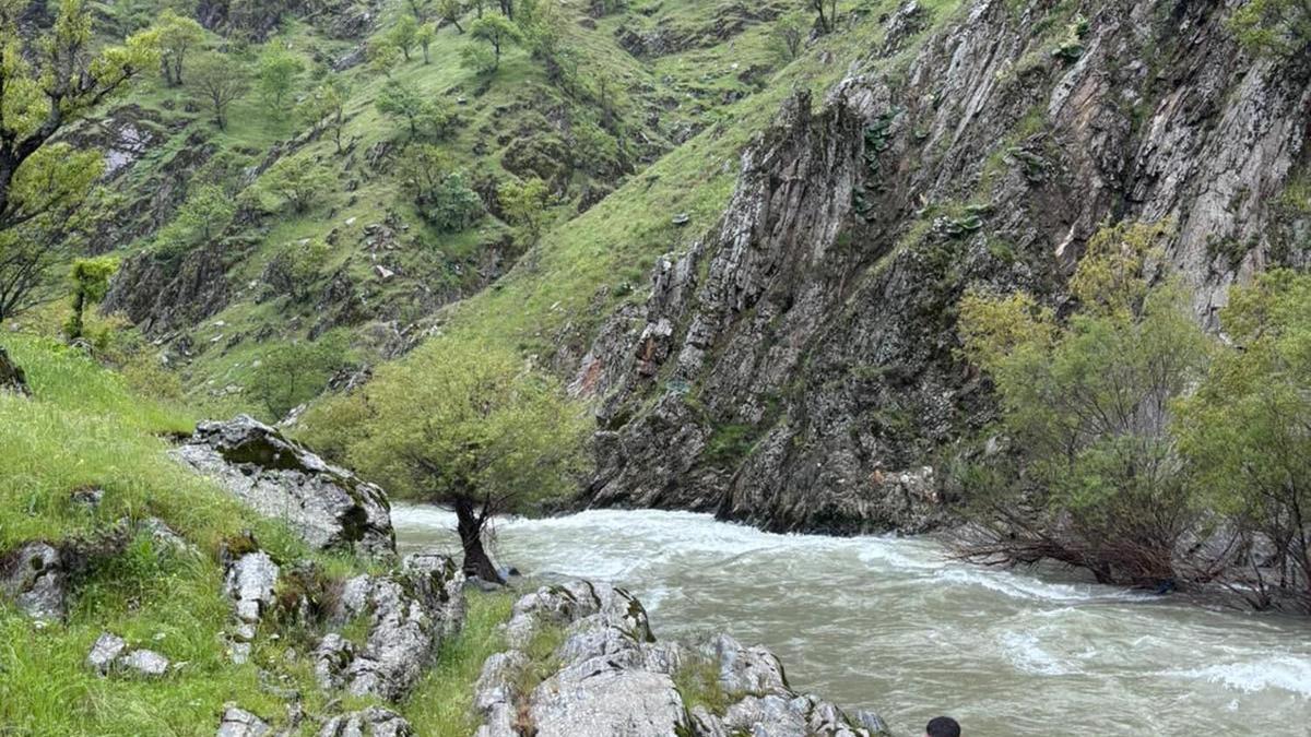 Muş’ta çaya düşen kadını arama çalışmaları sürüyor