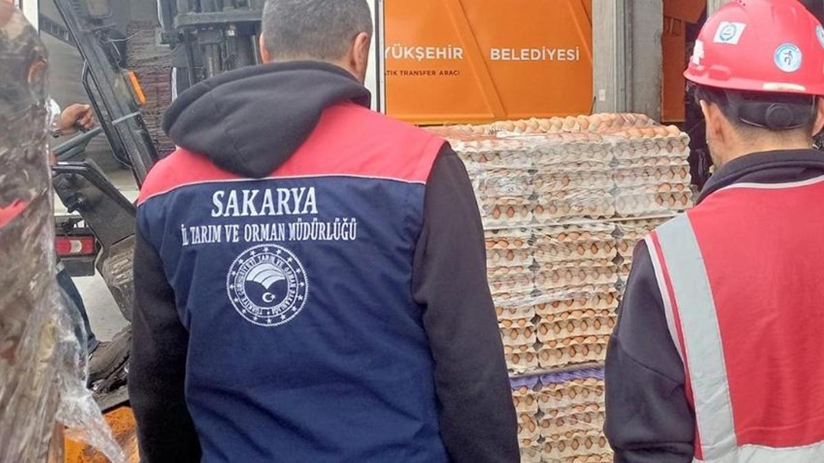 Sakarya’da yumurtada iğrenç hile! Rezalet patladı: 42 bin tanesi gömüldü