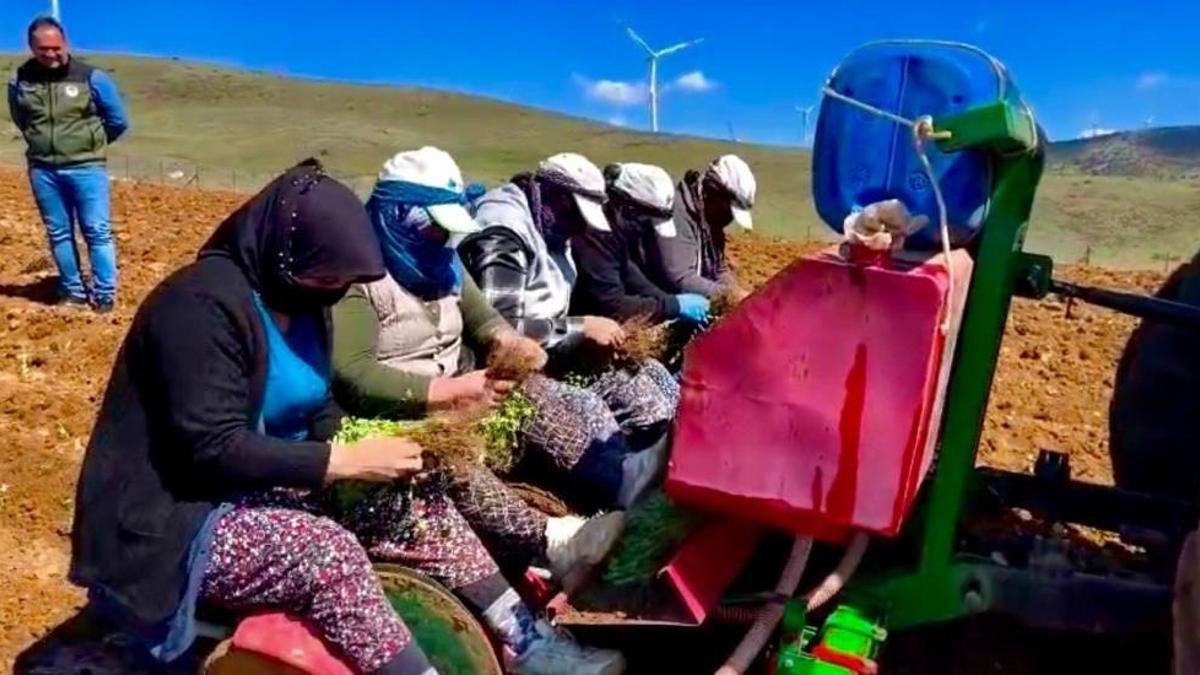 Afyonkarahisar'da atıl arazilerden milyonlarca liralık gelir sağlayacak girişim: Tek bir köyden başladı, tüm ilçeyi saracak!
