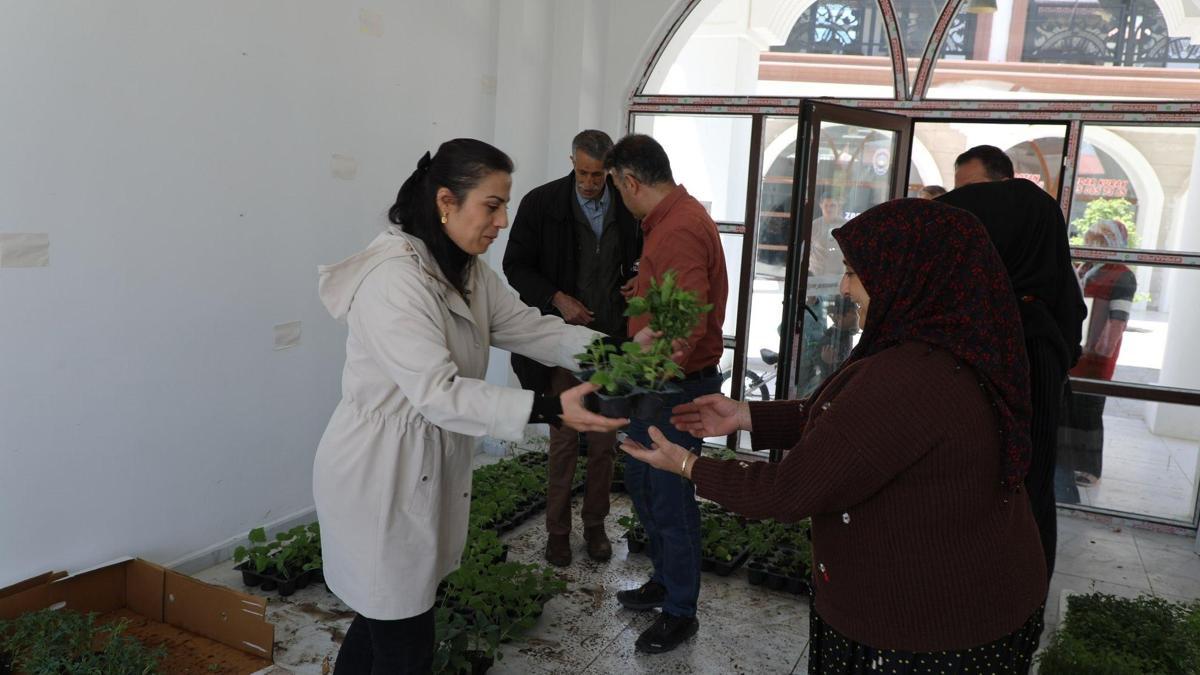 Tuşba Belediyesi’nden vatandaşlara ücretsiz fide desteği