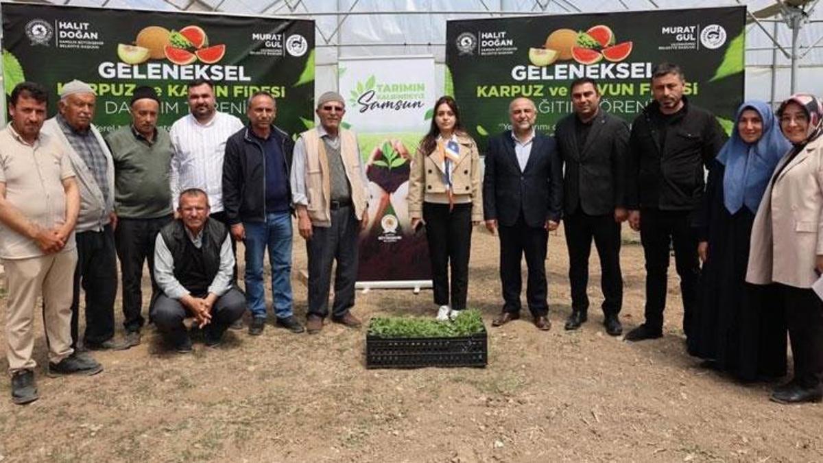 Samsun'da toprağa destek, üreticiye nefes: 120 bin fide ücretsiz dağıtıldı